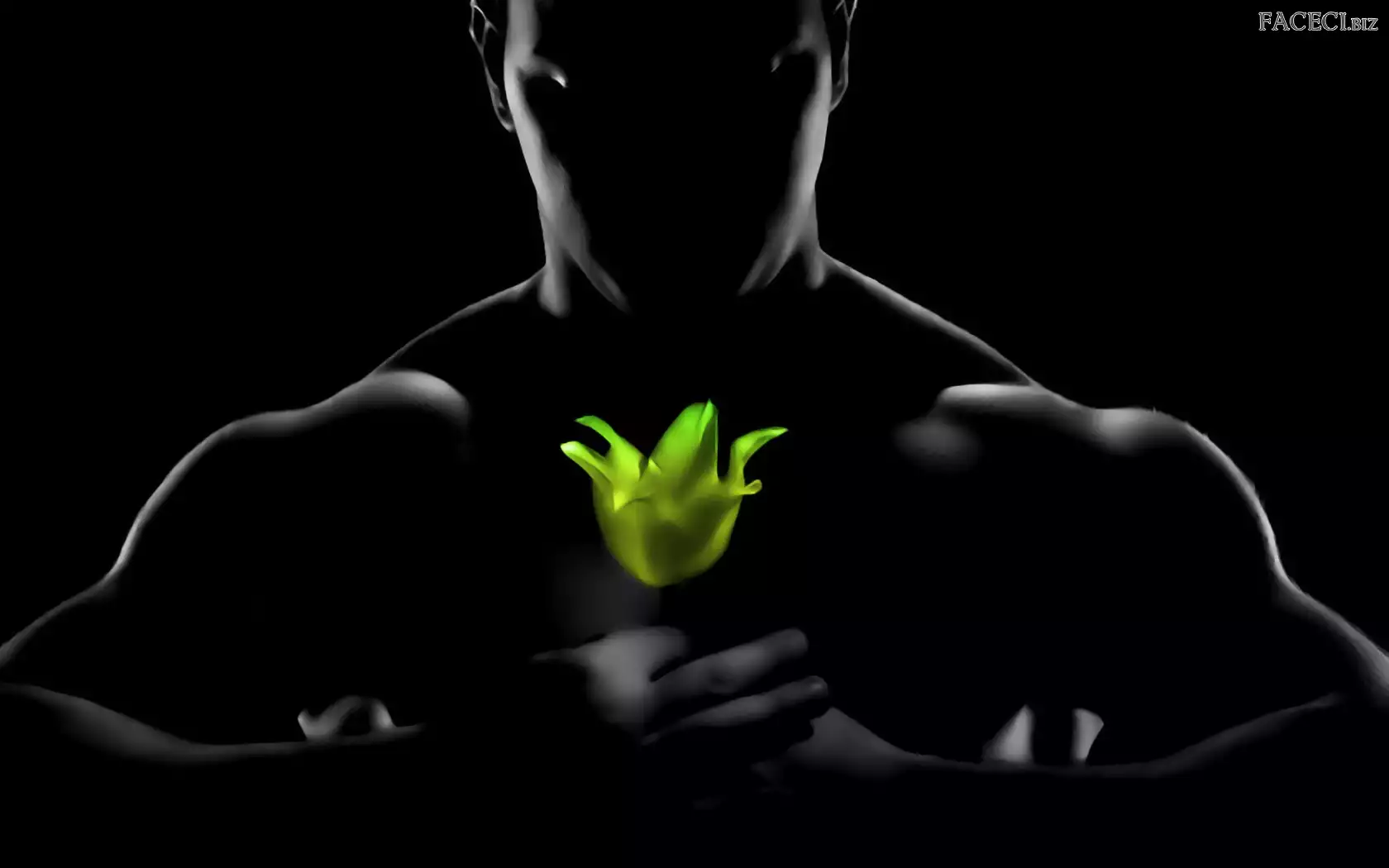 Kwiat, Mężczyzna, Zielony